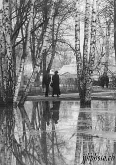 Parc au printemps